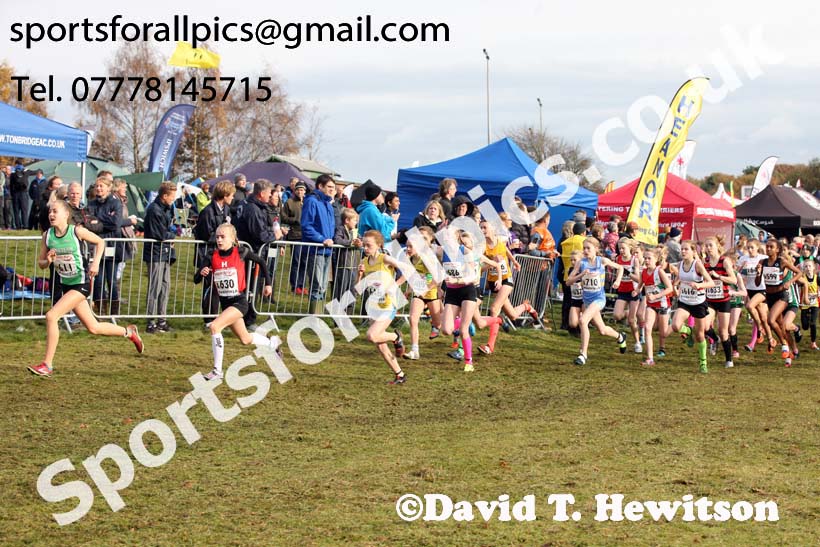 Girls under-13s National Cross Country Relay, Berry Hill Park, Mansfield. Photo:  David T. Hewitson/Sports for All Pics